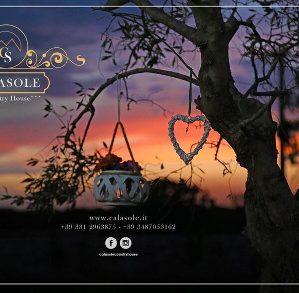 13592169_1721050438158761_5142254864854943251_n