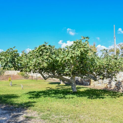 Calasole Porto Cesareo - DSC_4050
