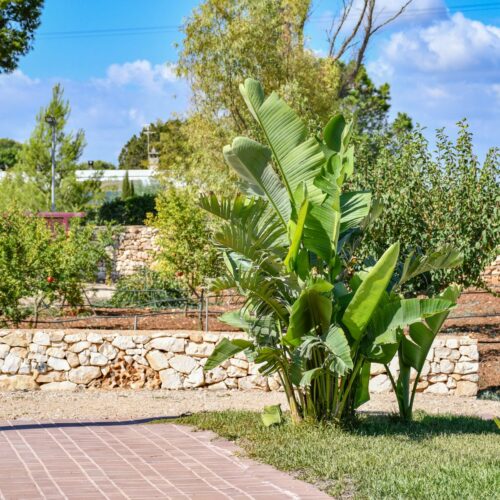 Calasole Porto Cesareo - DSC_4051